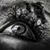 Connie Edmundson's profile image
