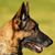 Angie Martin's profile image