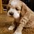 Kristie Mel Vaughn's profile image