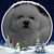 Nohora Alba Gomez Sandoval's profile image