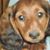 Karen Burchfield's profile image