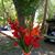 Janet Truitt's profile image