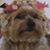 Vicki Omohundro's profile image
