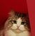 Sara Thornton's profile image