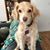 Sally Bacon's profile image