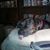 Michelle Horst's profile image