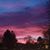 Anita Anderson's profile image