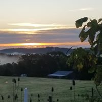 Meliha Korajkic's profile image