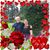 Stacey Summerville Smith's profile image