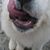 Shereen Alinaghian's profile image
