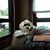 Lynnann Belt Correy's profile image