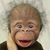 Anne Hunsinger's profile image