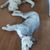 Susan Brookshire's profile image