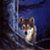 Ken Oliver's profile image