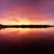 Lisa Pennington Moore's profile image