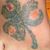Marcia Chase Amundson's profile image