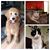 Joane Wood's profile image