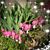 Debra Lynn Torres's profile image
