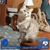 Cathy Sheets Harvey's profile image