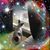 Rhonda Adams Milano's profile image