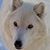 Tracy Arthur's profile image