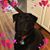 Barbara Whiteman Truhler's profile image