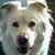 Kathy Muraski's profile image