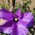 Doris Fuller's profile image
