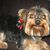 Tamara Day's profile image