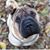 Paula Perry's profile image