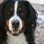 Lynn Miller's profile image
