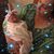 Connie Vanantwerpen's profile image