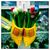 Barbara Bayersdorffer's profile image