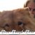 Valerie Gilb's profile image