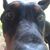 Tripp Krave's profile image