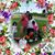 Romulo Morales's profile image