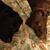 Annette Goodrich's profile image