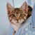 Tracey Wear's profile image