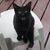 D'Arae Skye's profile image