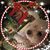 Antje Kessel's profile image