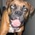 John A Saldutti's profile image