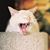 Crystal VanAntwerpen's profile image