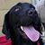 Julie Snell Hill's profile image