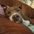Melissa Krahl Haywood's profile image