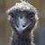Debbie Weeks's profile image