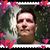 Dorthea Ciccotti's profile image