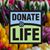 Michael Harnois's profile image