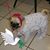 Judy Simmons's profile image