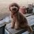 Nancy B Ellison's profile image