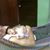 Graciliano Javier Chin Espadas's profile image